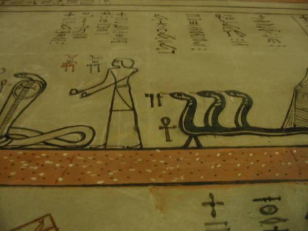 Beauty of the Nile - Image 18