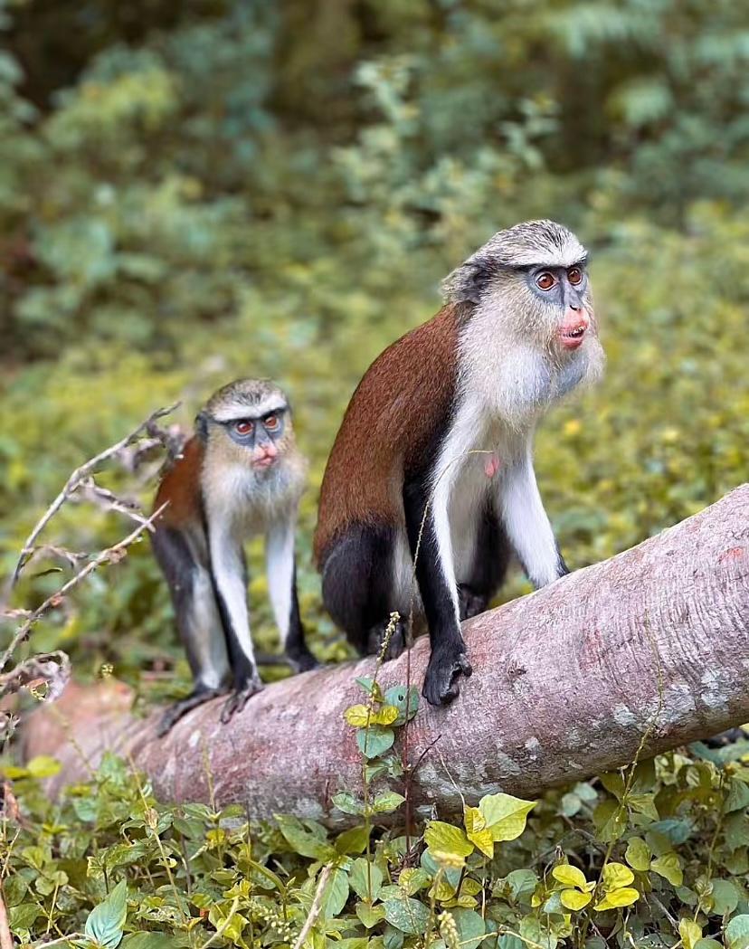 Discover Ghana - Image 7