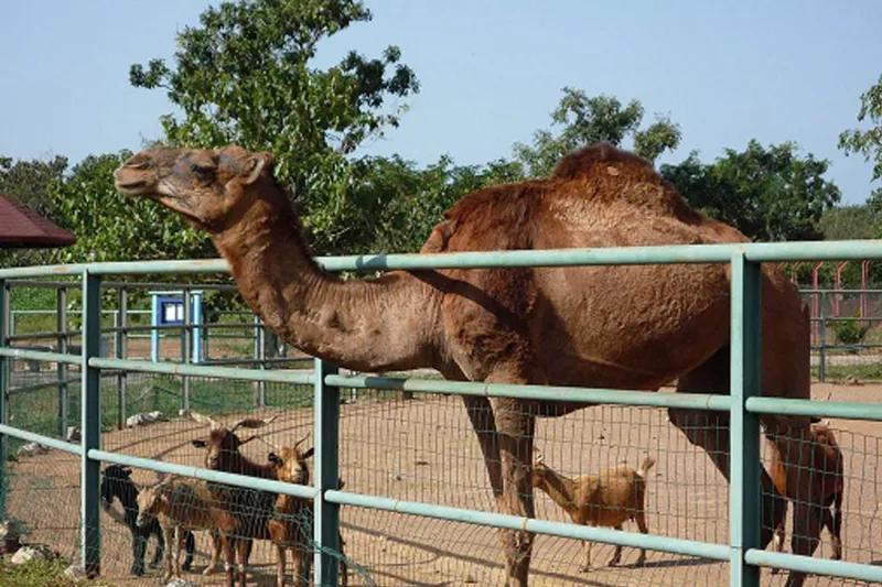 Abuja City Tour - Image 16