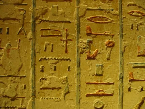 Beauty of the Nile - Image 22