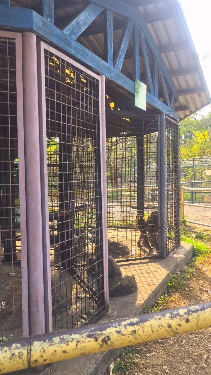 Abuja City Tour - Image 19